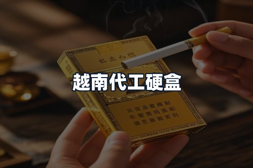 越南代工硬盒